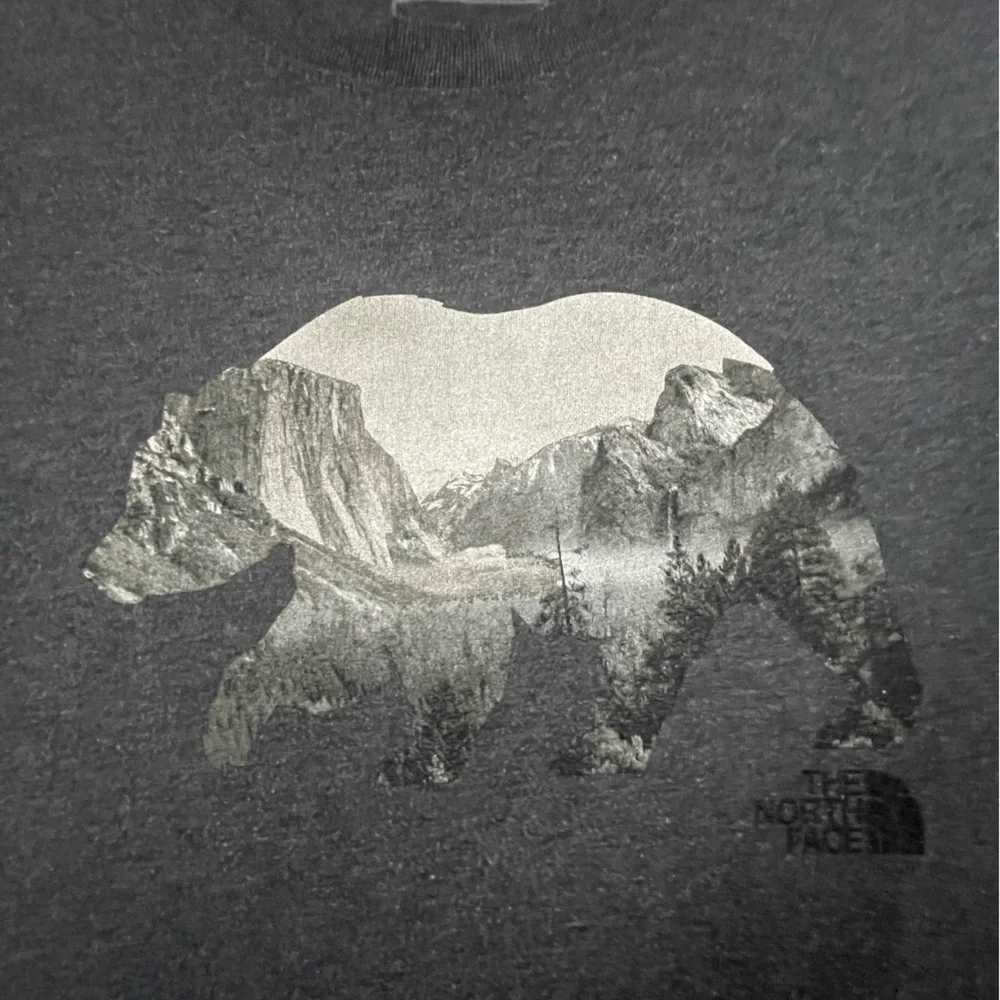 The North Face Bear Mountain Charcoal Wonen’s Tee Medium - Picture 3 of 7